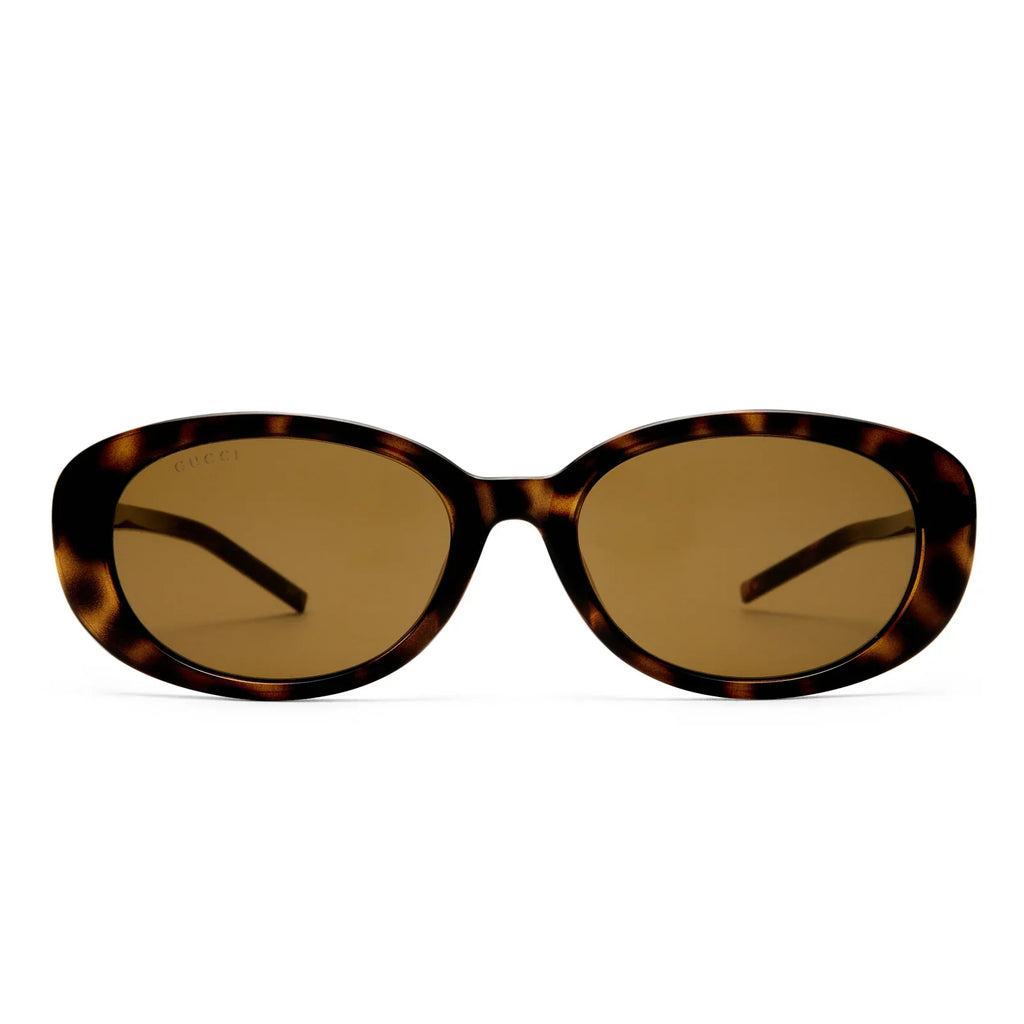 Gucci Women GG1684SA  Havana Sunglasses