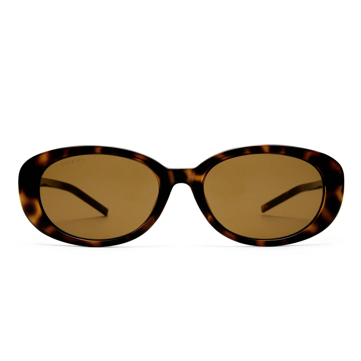 Gucci Women GG1684SA  Havana Sunglasses