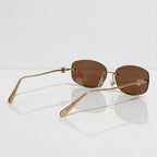 Louis Vuitton Women Crystal Oval Brown Sunglasses