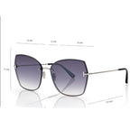Tom Ford Women Butterfly  Frame Silver Sunglasses
