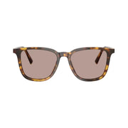 Miu Miu Women Square Honey Havana / Light Purple Brown Sunglasses