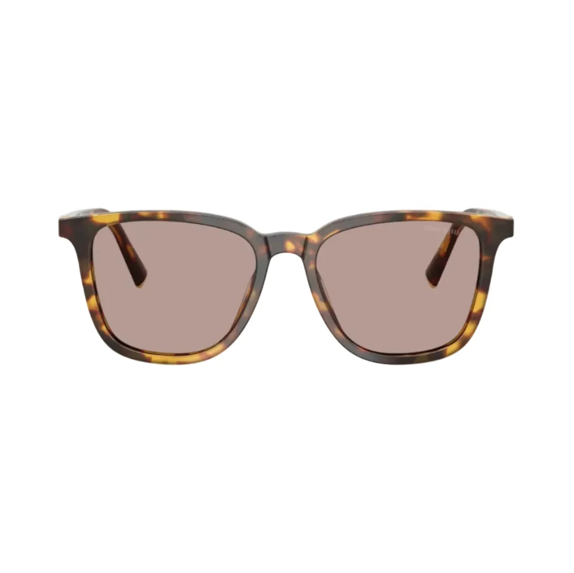 Miu Miu Women Square Honey Havana / Light Purple Brown Sunglasses