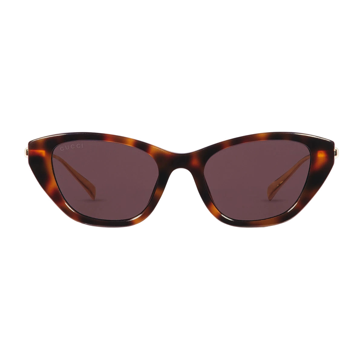 Gucci Women Cat Eye Frame Shiny Brown Sunglasses