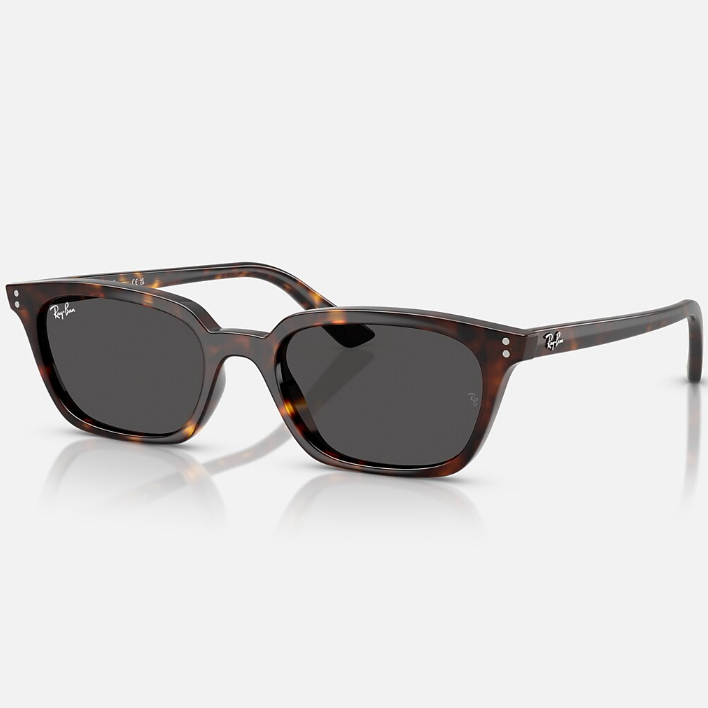 Ray Ban Men Pillow Frame Acorn Brown Sunglasses