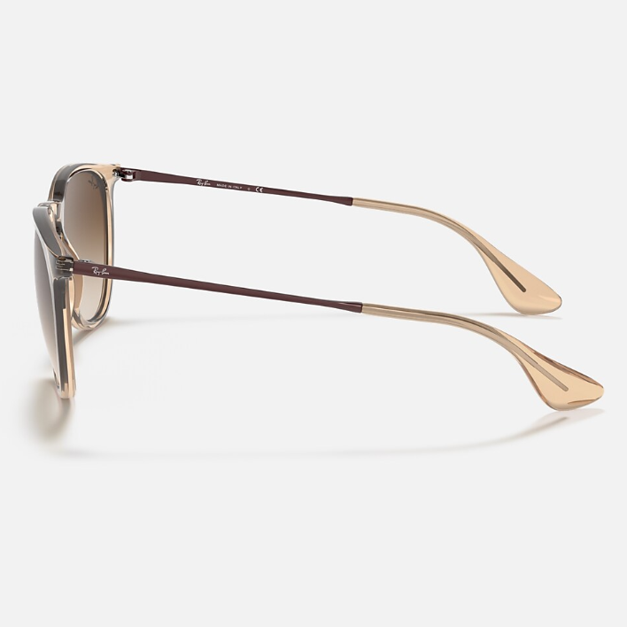 Ray Ban Men Phantos Frame Polished Transparent Brown Sunglasses