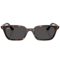 Ray Ban Men Pillow Frame Acorn Brown Sunglasses