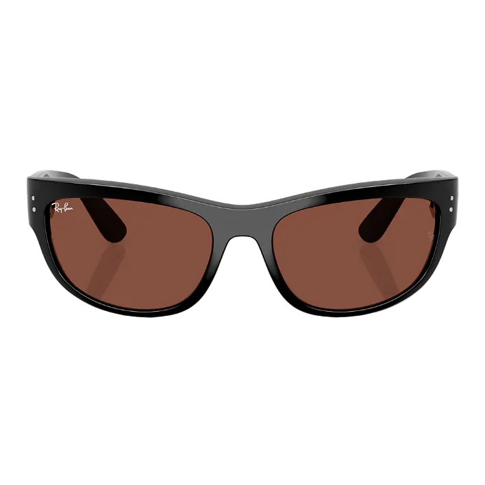 Ray Ban Women Pillow Frame Void Black Sunglasses