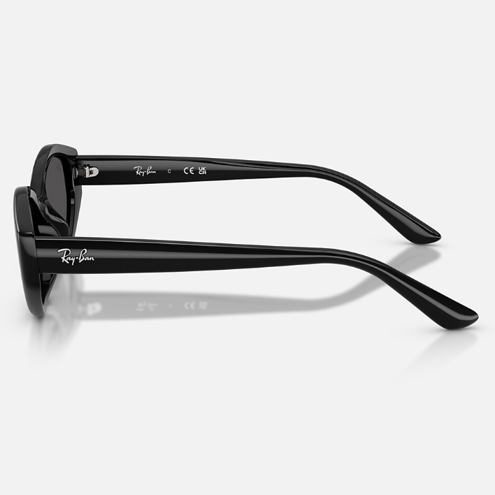 Ray Ban Women Irregular Frame Polished Black Sunglasses