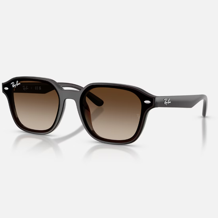 Ray Ban Women Square Frame Dark Brown Sunglasses