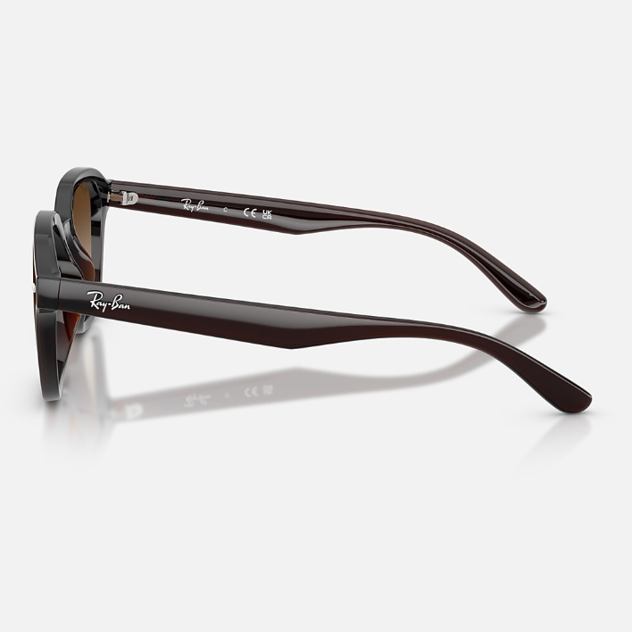 Ray Ban Women Square Frame Dark Brown Sunglasses