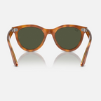 Ray Ban Men Round Frame Brown Sunglasses