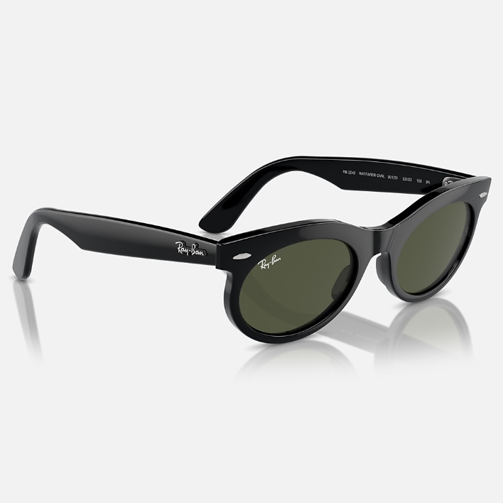 Ray Ban Women Oval Frame Tar Black Sunglasses