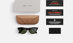 Ray Ban Women Cat Eye Frame Shiny Black Sunglasses