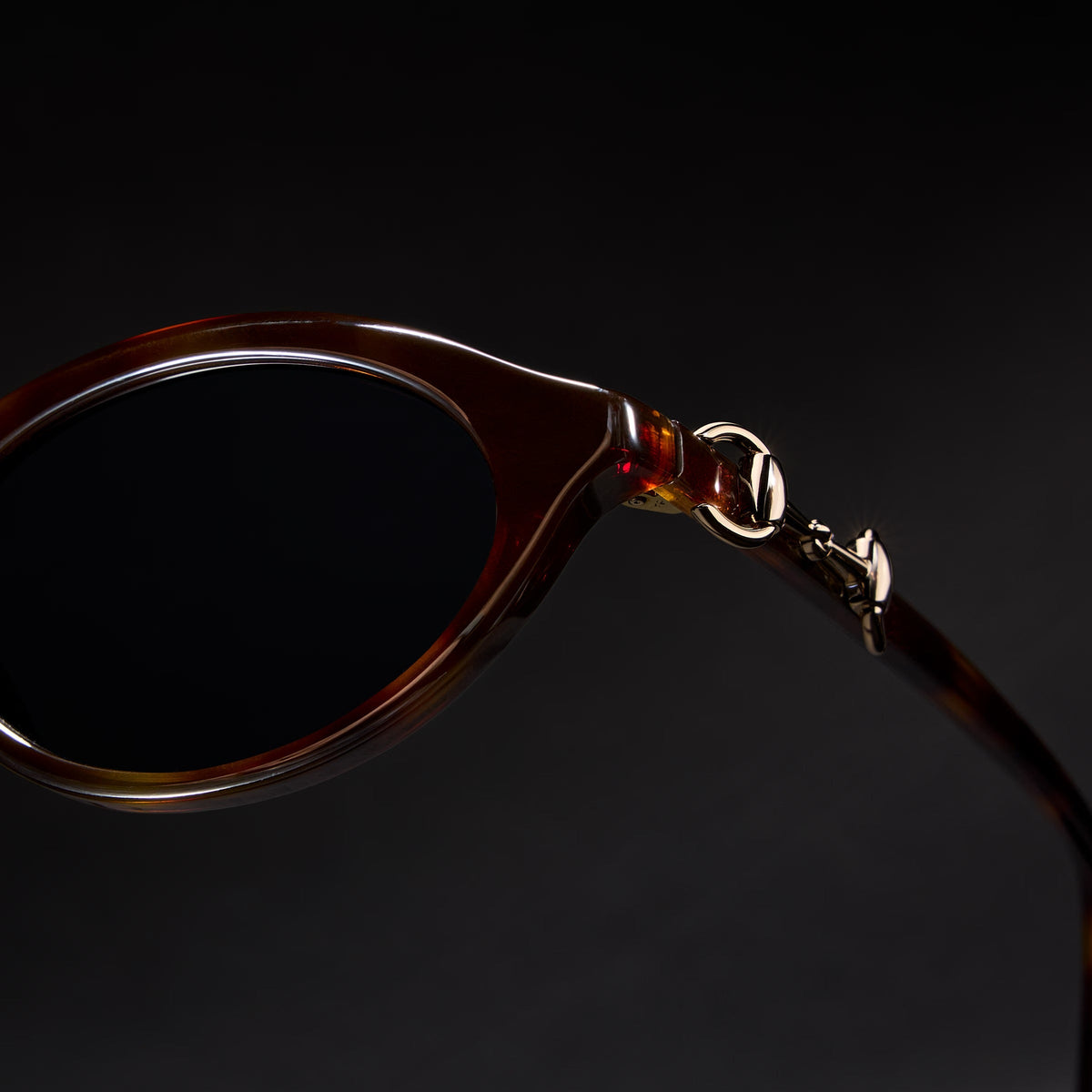 Gucci Women Cat-eye Frame Shiny Brown Tortoiseshell Sunglasses