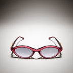 Gucci Women Cat-eye Frame Transparent Burgundy Sunglasses