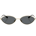 Ray Ban Men Oval Frame Polished Pale Gold Sunglasses