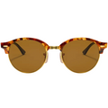 Ray Ban Men Round Frame Polished Brown Havana Sunglasses