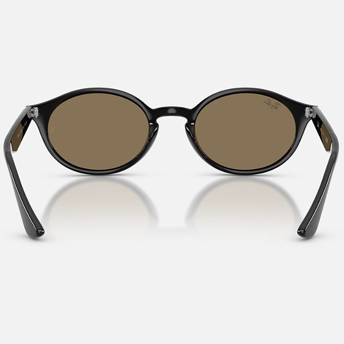 Ray Ban Men Oval Frame Shiny Dusty Black Sunglasses
