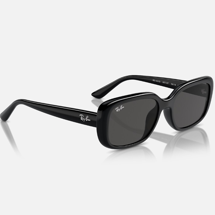 Ray Ban Men Pillow Frame Dusty Black Sunglasses