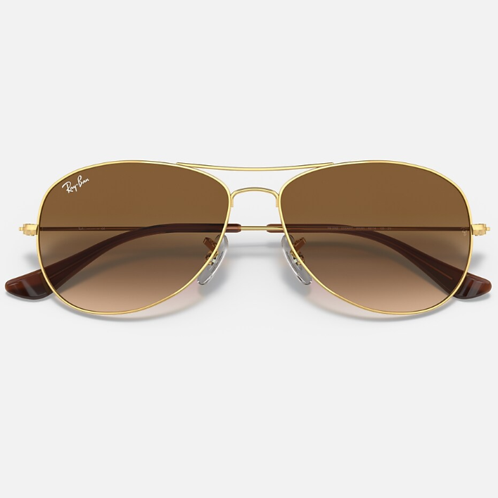 Ray Ban Women Pilot Frame Polished Brown On Gold Sunglasses