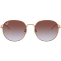 Ray Ban Women Phantos Frame Polished Rose Gold Sunglasses
