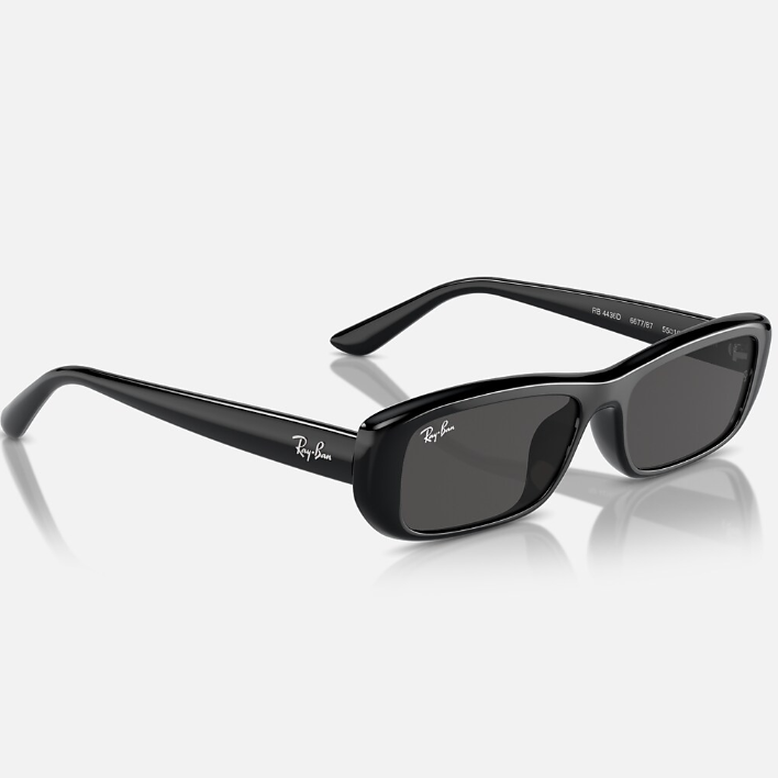 Ray Ban Men Pillow Frame Shiny Polished Black Sunglasses